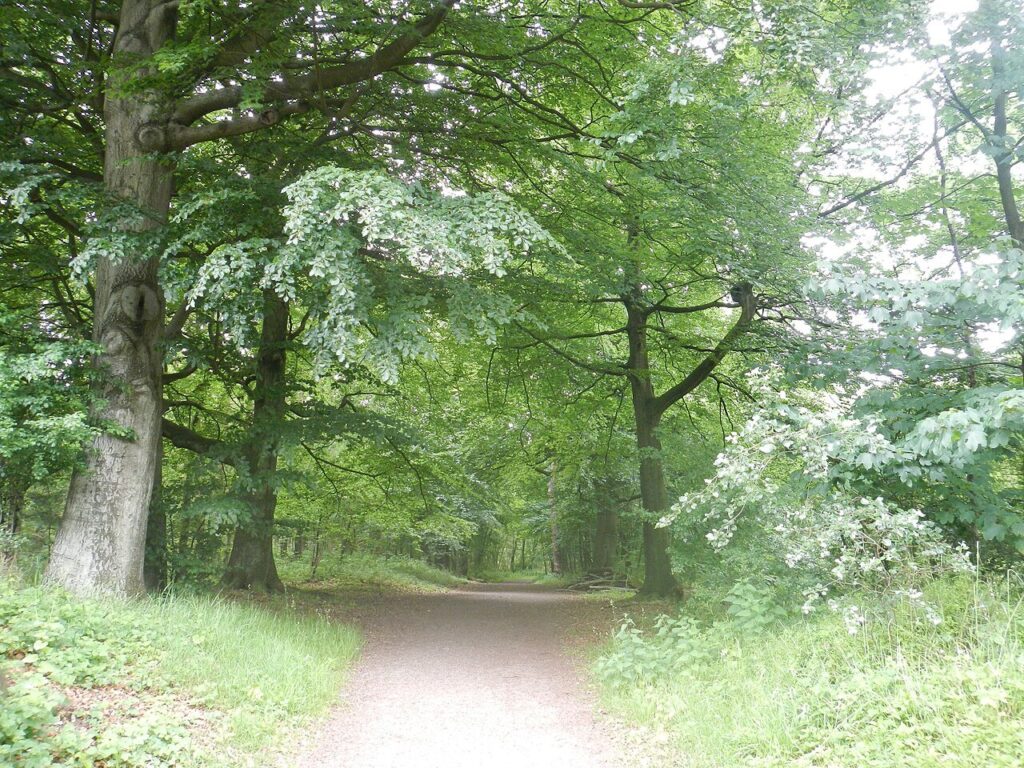 Dinsdagwandeling in Blankenberge