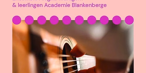 Gitaarconcert — muziek in Blankenberge